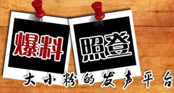 新闻爆料什么地方来,新闻爆料背后的真相与影响”